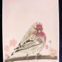 Springtime Visitor 6x8 Colored Pencil Original Painting Drawing Bird Art Redpoll Art Birds