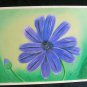 Pericallis Senetti 6x8 Colored Pencil Original Painting Drawing Flower Floral Botanical Art Daisy