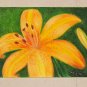 Daylily 2.5x3.75 ACEO ATC Colored Pencil Original Painting Drawing Floral Flower Botanical