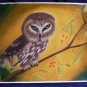 Saw Whet Owl 9x12 Colored Pencil Original Painting Bird Art Nature Wildlife