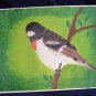 Rose Breasted Grosbeak 9x12 Mixed Media Original Painting Drawing Bird Art