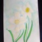 Delicate Daffodils Mixed Media Original Painting Drawing Flower Floral Botanical Art