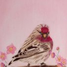 Springtime Visitor 6x8 Colored Pencil Original Painting Drawing Bird Art Redpoll Art Birds