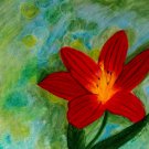 Red Lily 9x12 Mixed Media Original Painting Floral Flower Art Botanical Lilies Flowers