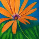Orange Symphony On A Cool Spring Day 9x12 Colored Pencil Original Painting Drawing Floral Flower Art
