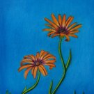 Symphony Sway 9x12 Colored Pencil Original Painting Drawing Floral Flower Art Orange Daisy