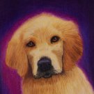 Golden Retriever Puppy 6x8 Colored Pencil Original Painting Drawing Pet Portrait Dog Art