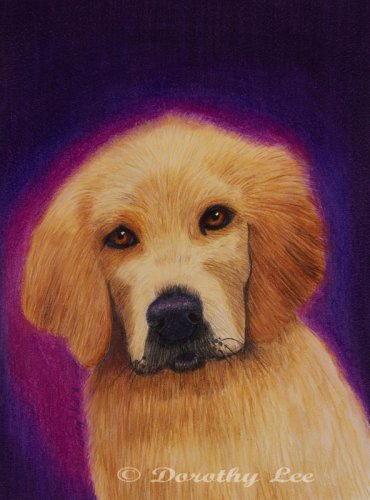 Golden Retriever Puppy 6x8 Colored Pencil Original Painting Drawing Pet Portrait Dog Art