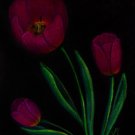 Tulip Trio 6x9 Colored Pencil Original Painting Drawing Floral Flower Flowers Botanical Art