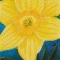 Yellow Daffodil 2.5x3.75 ACEO ATC Colored Pencil Original Painting Drawing Floral Flower Botanical