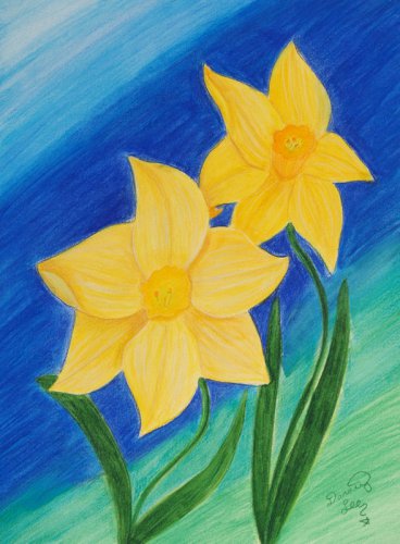 Bold Daffodils Mixed Media Original Painting Drawing Flower Floral Botanical Art