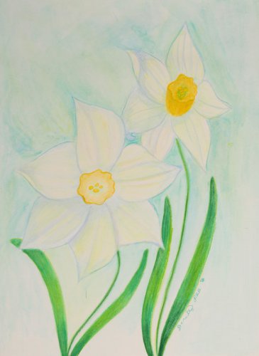 Delicate Daffodils Mixed Media Original Painting Drawing Flower Floral Botanical Art