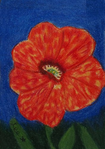 Tequila Sunrise Calibrachoa ACEO ATC Colored Pencil Original Painting Drawing Floral Flower