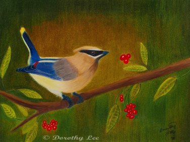 Cedar Waxwing 9x12 Colored Pencil Original Painting Drawing Bird Wildlife Nature Art