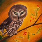Saw Whet Owl 9x12 Colored Pencil Original Painting Bird Art Nature Wildlife