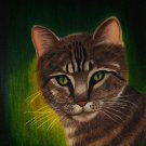 Tabby Cat 9x12 Colored Pencil Original Painting Drawing Cat Feline Pet Portrait Art