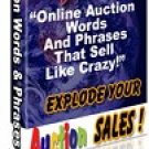 1079 Auction Words and Phrases