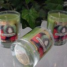 Strawberry Kiwi Scented Glass Tumbler Wax Votive Candle 3 Oz.