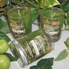 Green Tomatoes Scented Glass Tumbler Wax Votive Candle 3 Oz.