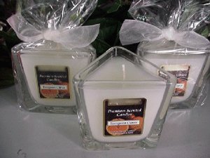 Evergreen Citrus Scented Triangle Glass Jar Candle  7 Oz.