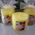 Melon Delight Scented Glass Tumbler Wax Jar Candle 7.5 Oz.
