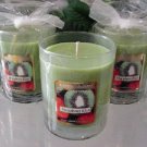 Strawberry Kiwi Scented Glass Tumbler Wax Jar Candle 7.5 Oz.