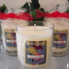 Carnation Scented Glass Tumbler Wax Jar Candle 7.5 Oz.