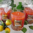 Tangerine Scented Glass Tumbler Wax Jar Candle 7.5 Oz.