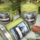 Evergreen Vanilla Scented Glass Tumbler Wax Jar Candle 7.5 Oz.