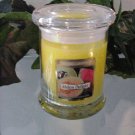Melon Delight Scented 13 oz Status Rock Jar Wax Candle