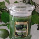 Lime Scented 8 oz Status Rock Jar Wax Candle