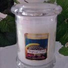 Tropical Fruit Scented 8 oz Status Rock Jar Wax Candle
