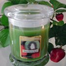 Strawberry Kiwi Scented 8 oz Status Rock Jar Wax Candle