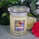 Carnation Scented 8 oz Status Rock Jar Wax Candle