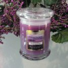 Tranquility Scented Aromatherapy 8 oz Status Rock Jar Wax Candle