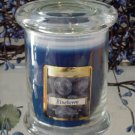 Blueberry Scented 8 oz Status Rock Jar Wax Candle