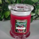 Cranberry Scented 8 oz Status Rock Jar Wax Candle