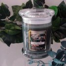 Eucalyptus Scented 8 oz Status Rock Jar Wax Candle
