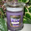 Sweet Pea Scented Floral Wax Candle in 8 Oz. Status Rock Jar