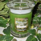 Green Tomatoes Scented Wax Candle in 8 Oz. Status Rock Jar