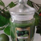 Lime Scented Apothecary Glass Jar Wax Candle 9.5 Oz.
