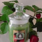 Strawberry Kiwi Scented Apothecary Glass Jar Wax Candle 9.5 Oz.