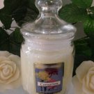 Carnation Scented Apothecary Glass Jar Wax Candle 9.5 Oz.