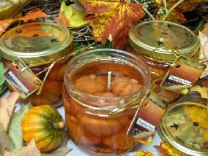 Pumpkin Spice Scented Gel Wax Candle in Preserve Jar 10 Oz.