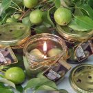 Pear Glaze Scented Gel Wax Candle in Preserve Jar 10 Oz.