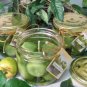 Granny Smith Apple Scented Gel Wax Candle in Preserve Jar 10 Oz.