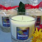 Carnation Scented Tumbler Wax Candle 11oz