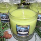 Evergreen Citrus Scented Tumbler Wax Candle 11oz