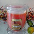 Orange Vanilla  Scented 13 oz Status Rock Jar Wax Candle