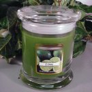 Lime Scented 13 oz Status Rock Jar Wax Candle